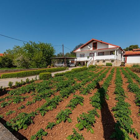 Floyd Apartamento Bibinje Exterior foto