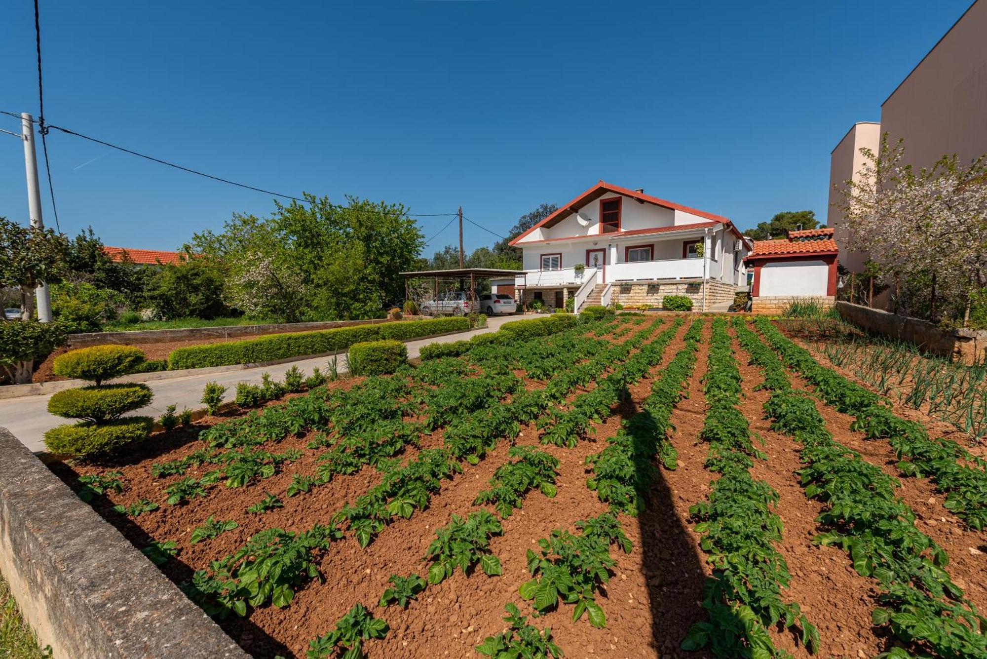 Floyd Apartamento Bibinje Exterior foto